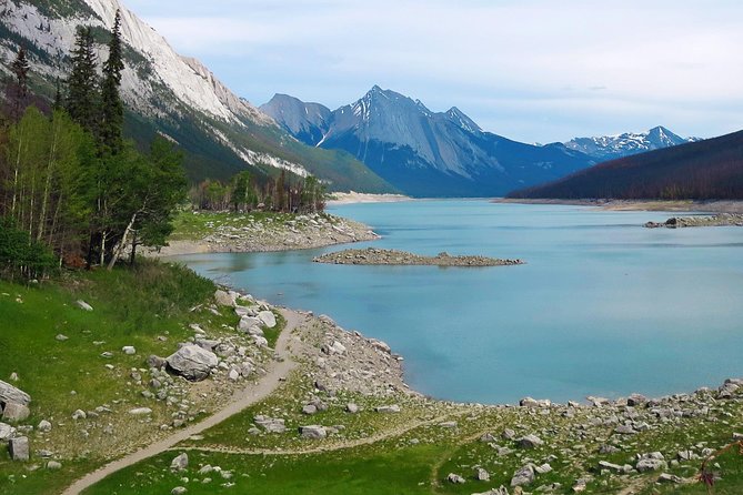 Jasper Wildlife and Sightseeing Tour with Maligne Lake Hike - Guides Are the Tour’s Biggest Strength