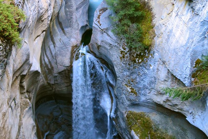 Jasper Wildlife and Sightseeing Tour with Maligne Lake Hike - Maligne Canyon After the 2024 Fire