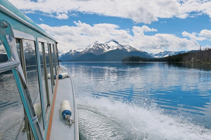 Jasper Wildlife & Sightseeing Tour with Maligne Lake Cruise - What wildlife can you realistically see?