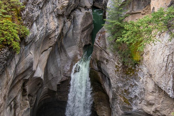 Jasper Wildlife & Sightseeing Tour with Maligne Lake Cruise - Maligne Canyon and the effects of the 2024 wildfire