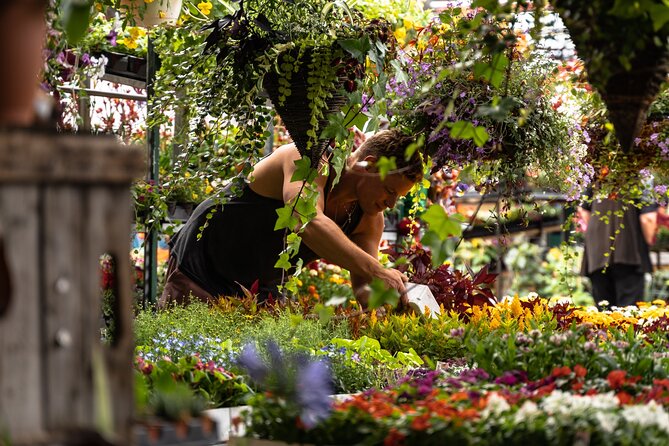 Jean-Talon Market & Little Italy Small Group Walking Tour - Price, timing, and what you receive