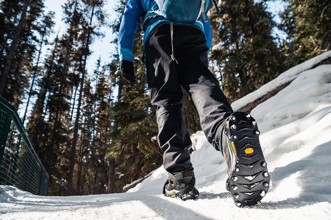 Johnston Canyon Icewalk - Hot Chocolate, Cookie, and the Value of the Price
