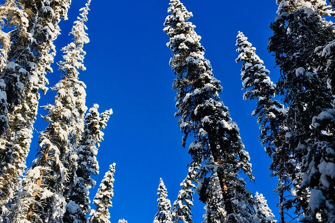 Johnston Canyon Icewalk from Banff AM - Hot chocolate, cookies, and the value of small comforts