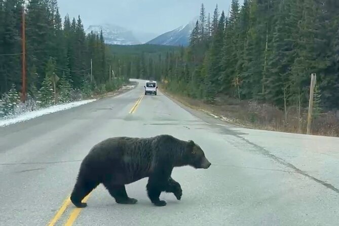 Johnston Canyon, Lake Louise & Banff: Small-Group Day Tour - Castle Mountain adds a scenic pause