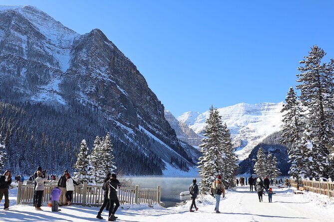 Johnston Canyon, Lake Louise & Banff: Small-Group Day Tour - Vermilion Lakes and Castle Mountain break up the drive