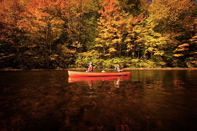 Kayak/Paddleboard Rouge River - Self Guided Descent - The Value of $52.18 Per Group