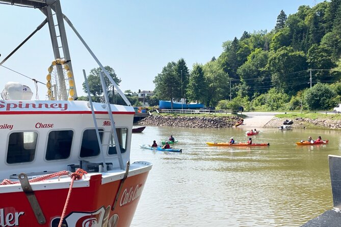 Kayak the Bay of Fundy Sea Caves - Key points at a glance