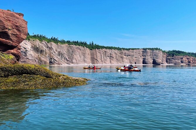 Kayak the Bay of Fundy Sea Caves - The value of the $76.26 price