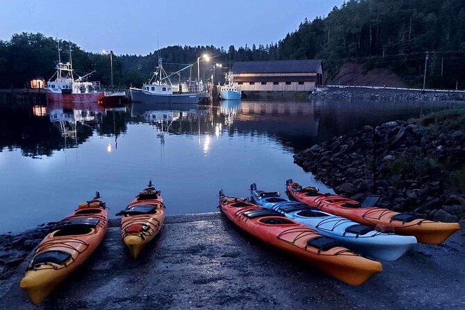 Kayak the Bay of Fundy Sea Caves - Weather and tide are part of the bargain