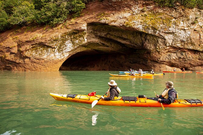 Kayak the Bay of Fundy Sea Caves - What happens at 419 Main Street