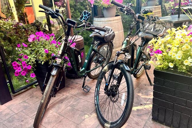Kelowna E-Bike Bee Tour, Tastings, Organic Lunch & Audio Guide - Learning from the hives and pollinator garden