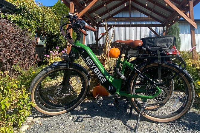 Kelowna E-Bike Bee Tour, Tastings, Organic Lunch & Audio Guide - Sitting down for a farm-to-table lunch