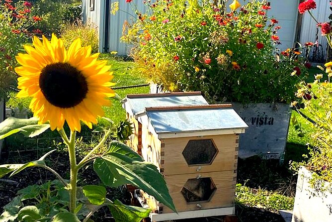 Kelowna E-Bike Bee Tour, Tastings, Organic Lunch & Audio Guide - Who should book the Bee Tour