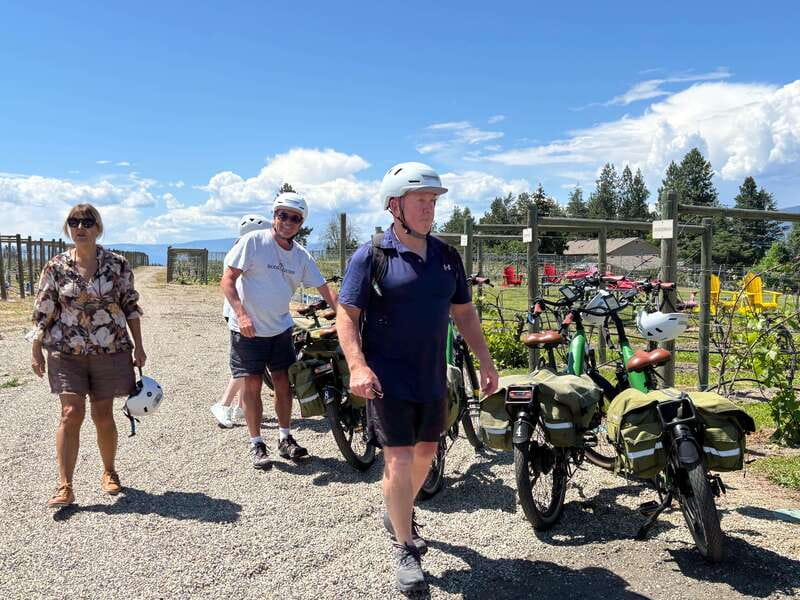 Kelowna: E-Bike Guided Wine Tour with Lunch & Tastings - What the $175 price includes
