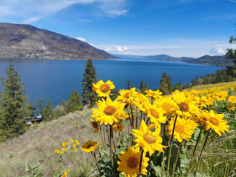 Kelowna: E-Bike Rental with In-App Navigation Guide - Who Will Like This Experience Most?
