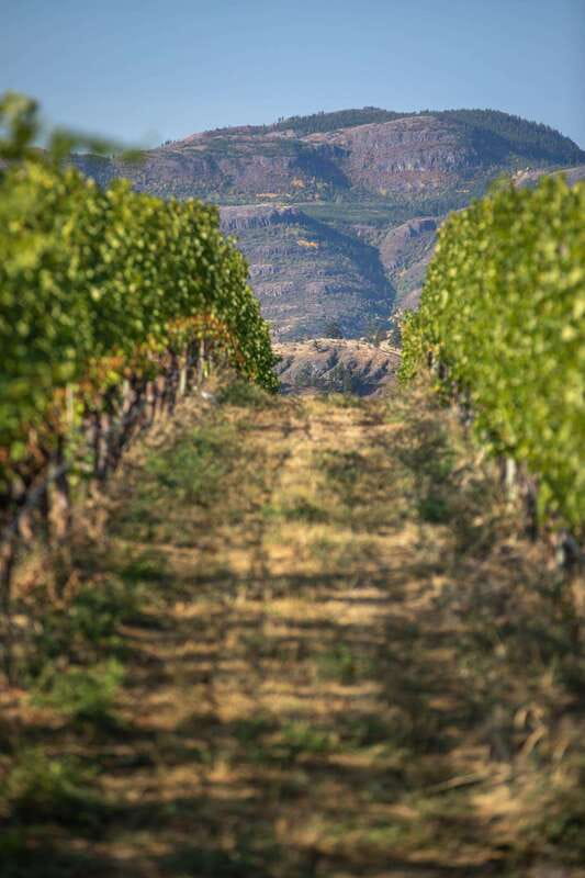 Kelowna: Lake Country Full Day Guided Wine Tour - Gray Monk pairs wine with a long lunch