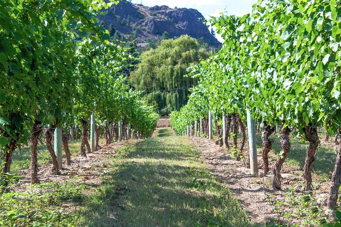 Kelowna or West Kelowna Afternoon Sightseeing Wine Tour - Practical Details Before You Book