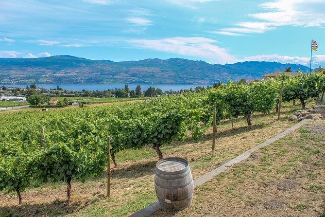 Kelowna or West Kelowna Afternoon Sightseeing Wine Tour - Should You Book This Kelowna Wine Tour?