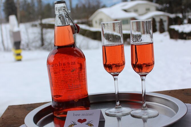 Kelowna Snow E-Biking Adventure with Lunch, Wine Tasting & S'mores - Why the small group matters