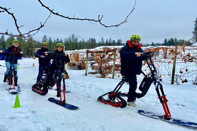 Kelowna Snow E-Biking Adventure with Lunch, Wine Tasting & S'mores - Price, timing, and practical value