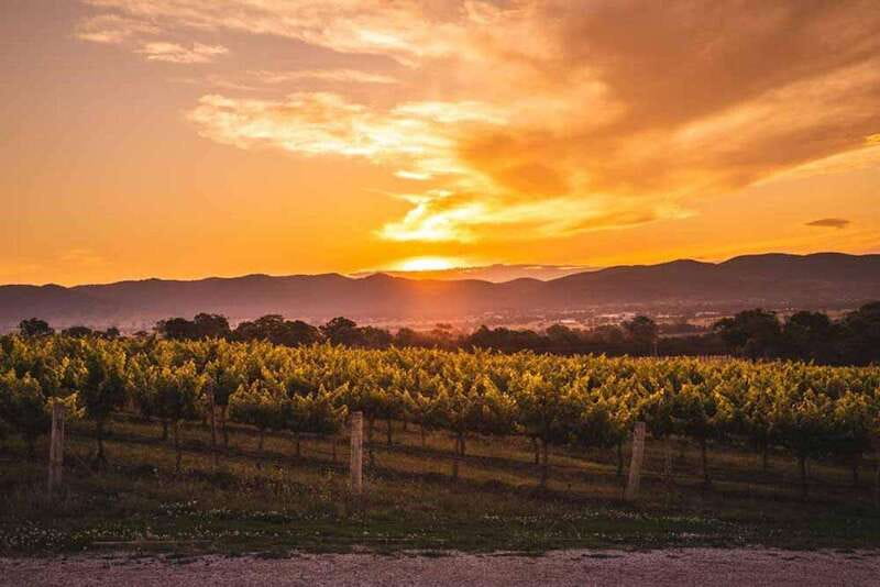 Kelowna: Sunset Sip Wine Tour - Who should choose this tour