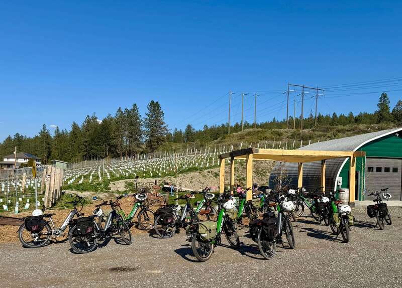 Kelowna: Wine Tasting by E-bike, Smartphone Guide & Lunch - Why an e-bike works so well in Kelowna wine country