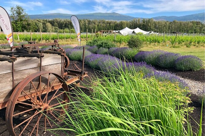 Kelowna Wine Tour by E-bike, Okanagan Valley Views and Lunch - Key points to know before you book