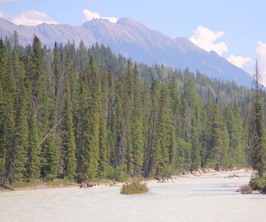 Kicking Horse River: Half-Day Intro to Whitewater Rafting - Rocky Mountain views between the rapids