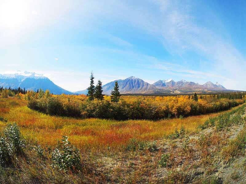 Kluane National Park: Full Day Tour - Key points to know before booking