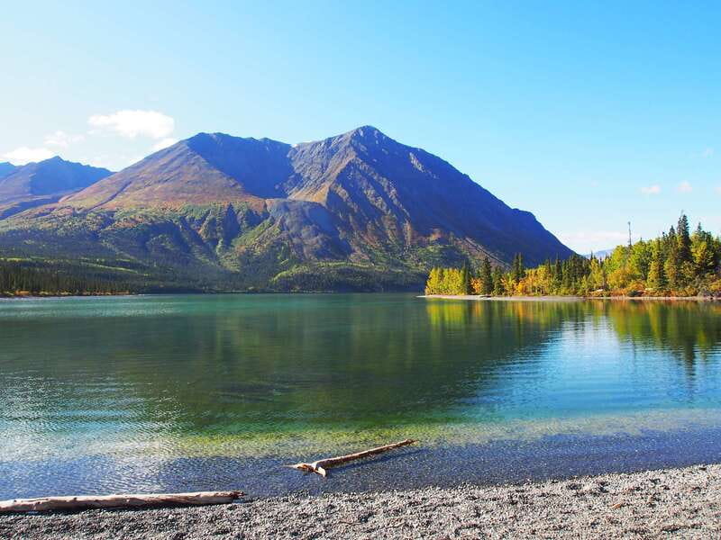 Kluane National Park: Full Day Tour - What to pack for comfort