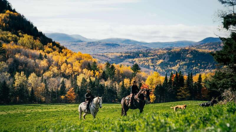 La Bleuetière: A charming introduction to horseback riding - A gentle way into horseback riding