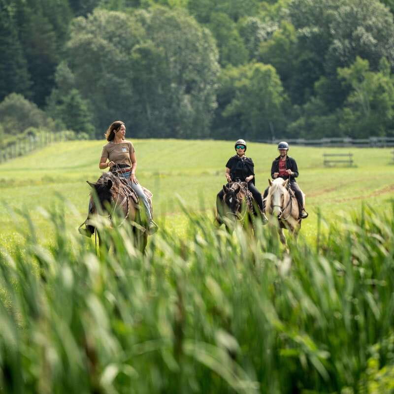 La Bleuetière: A charming introduction to horseback riding - Getting fitted with safety equipment