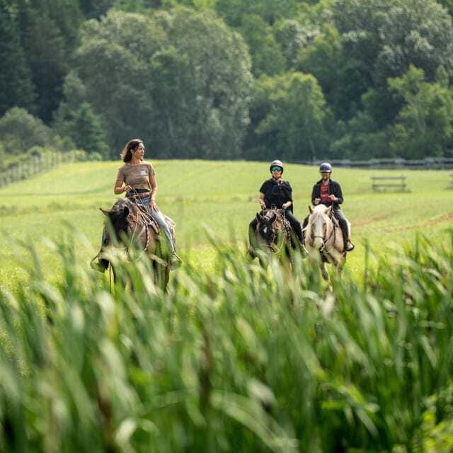 La Bleuetière: A charming introduction to horseback riding - The one-hour timing needs careful reading