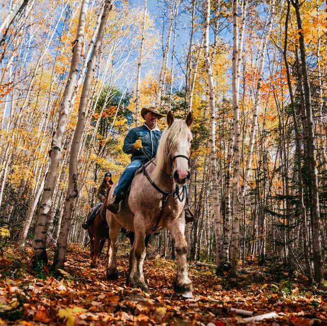 La Bleuetière: A charming introduction to horseback riding - Arriving at the ranch in Charlevoix