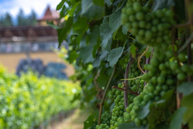 Lake Country Half Day Guided Wine Tour With 4 Wineries - The five-hour schedule rewards a clear plan