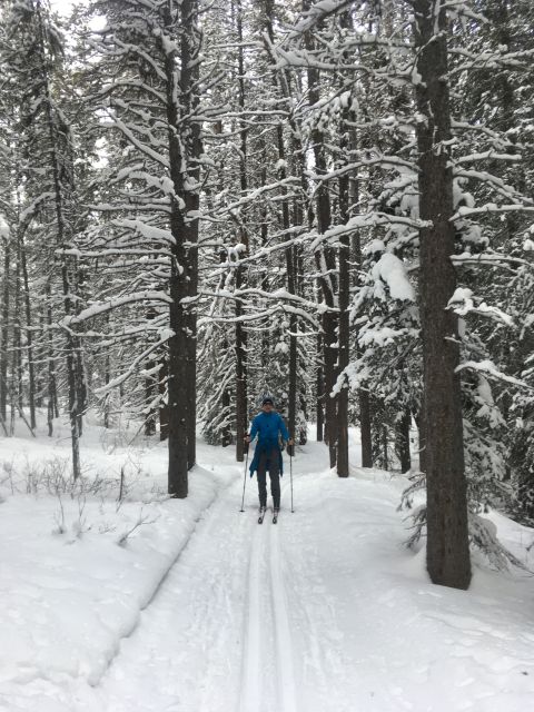 Lake Louise: Cross Country Skiing Lesson with Tour - Key Things To Know Before You Go