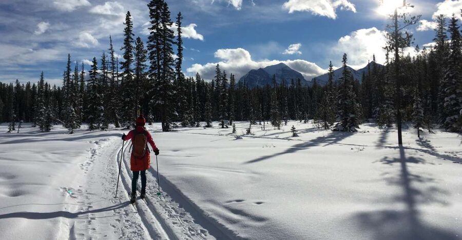 Lake Louise: Cross Country Skiing Lesson with Tour - A Patient Guide Makes The Difference