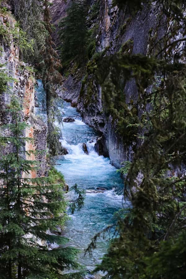 Lake Louise Emerald Lake Johnston Canyon Banff Town YohoTour - Moraine Lake: the seasonal photo stop
