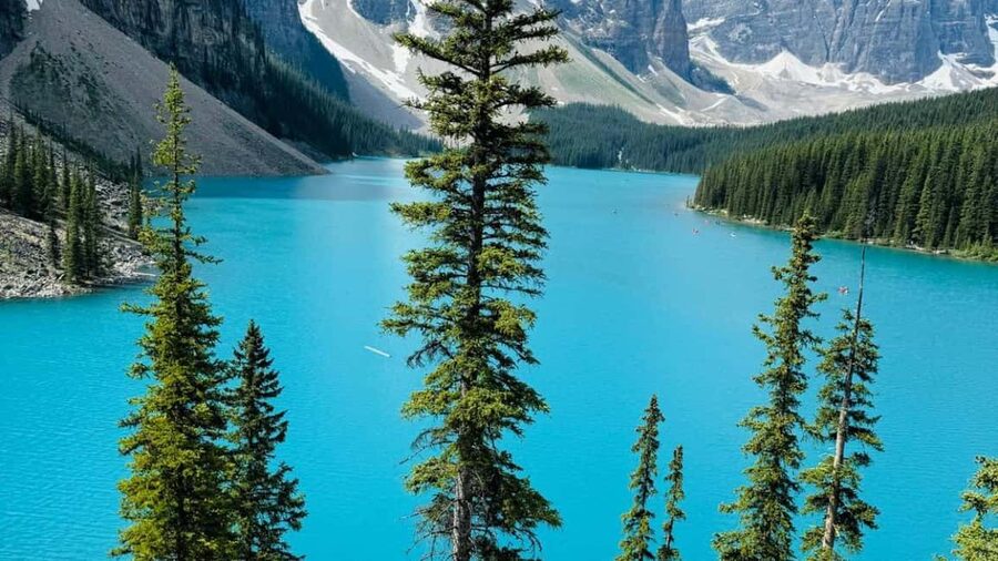Lake Louise, Emerald Lake, Minnewanka Cruise & Banff Town - Vehicle comfort and the pace of the day