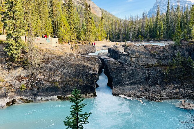Lake Louise, Moraine/Bow, Emerald & Peyto - 4 Lakes in Banff - Moraine Lake in summer, Bow Lake in winter