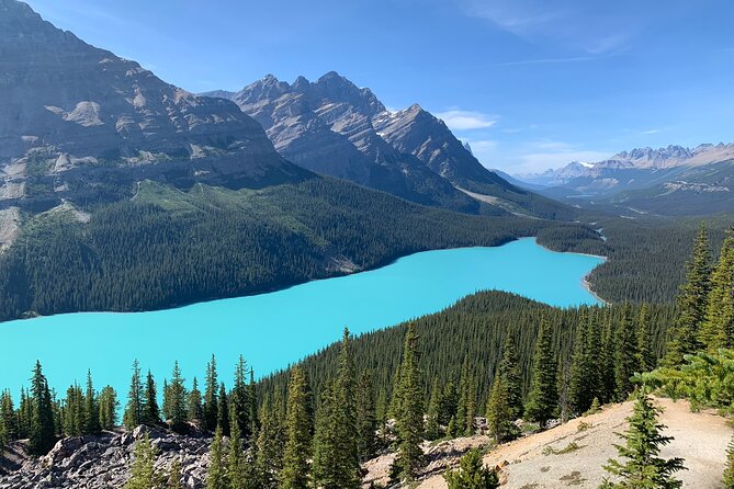 Lake Louise, Moraine Lake and the Icefields Parkway Full-Day Tour - Crowfoot Glacier is a quick but worthwhile lookout