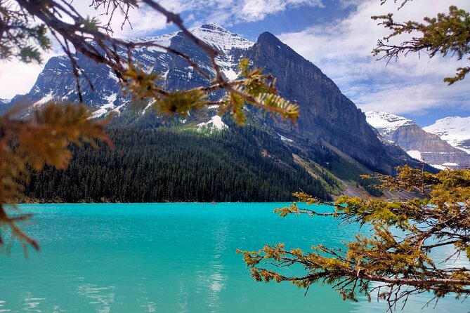 Lake Louise Moraine Lake Johnston Canyon 1.5h Half Day Tour - What the guide adds to a self-guided visit