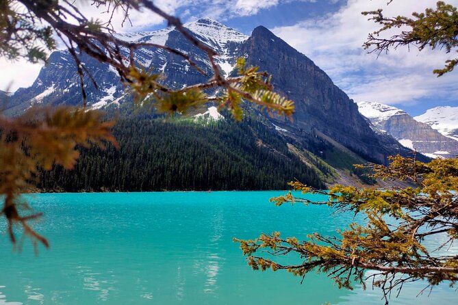 Lake Louise, Moraine Lake, Peyto Lake, Crowfoot, Johnston Canyon - Why this route works for a first Banff visit