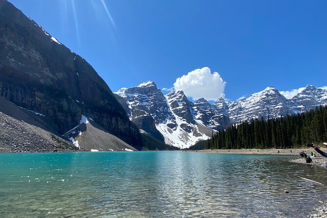 Lake Louise, Moraine Lake, Peyto Lake, Crowfoot, Johnston Canyon - Bow Lake and Crowfoot Glacier: short stops with big views