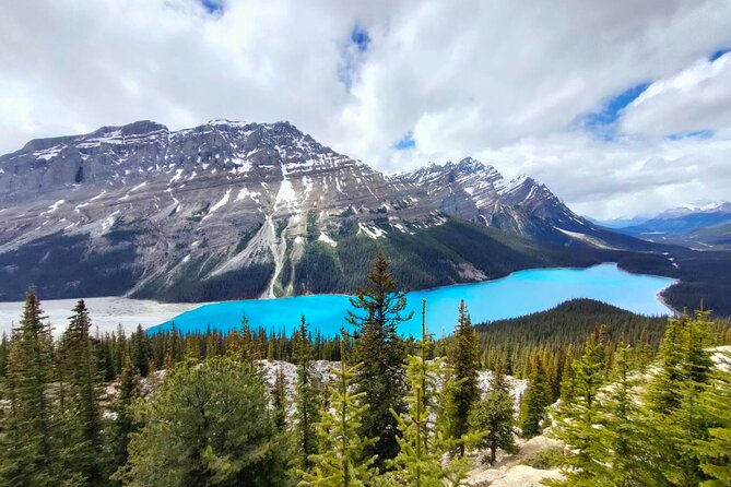 Lake Louise, Moraine Lake, Peyto Lake, Crowfoot, Johnston Canyon - Starting early in Calgary, Canmore, or Banff