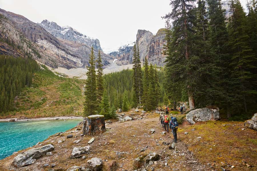 Lake Louise: Moraine & Louise Lake Half-Day Highlights Tour - Guides are the heart of the experience