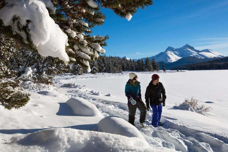 Lake Louise, Peyto Lake, Johnston Canyon & Icefields Parkway - Why this route works as a one-day Rockies sampler