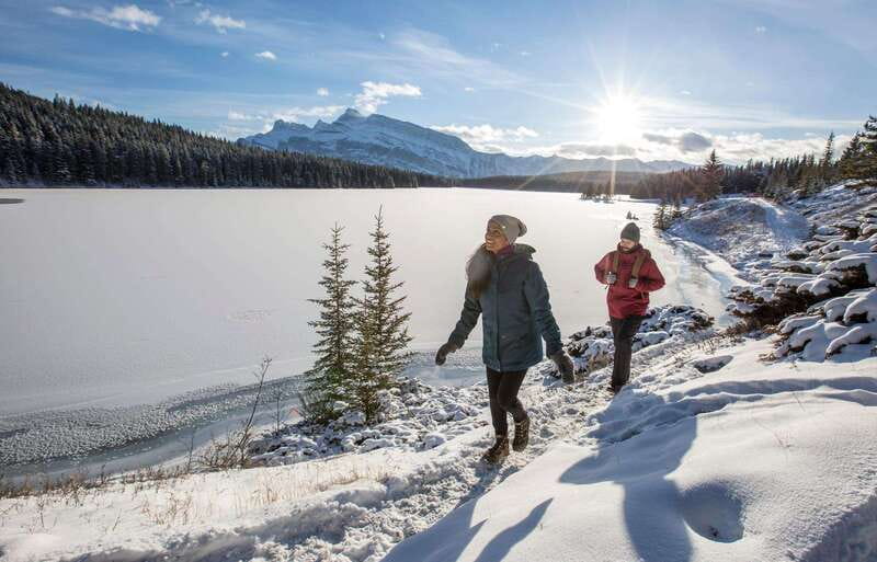 Lake Louise, Peyto Lake, Johnston Canyon & Icefields Parkway - The Icefields Parkway: scenery from your window
