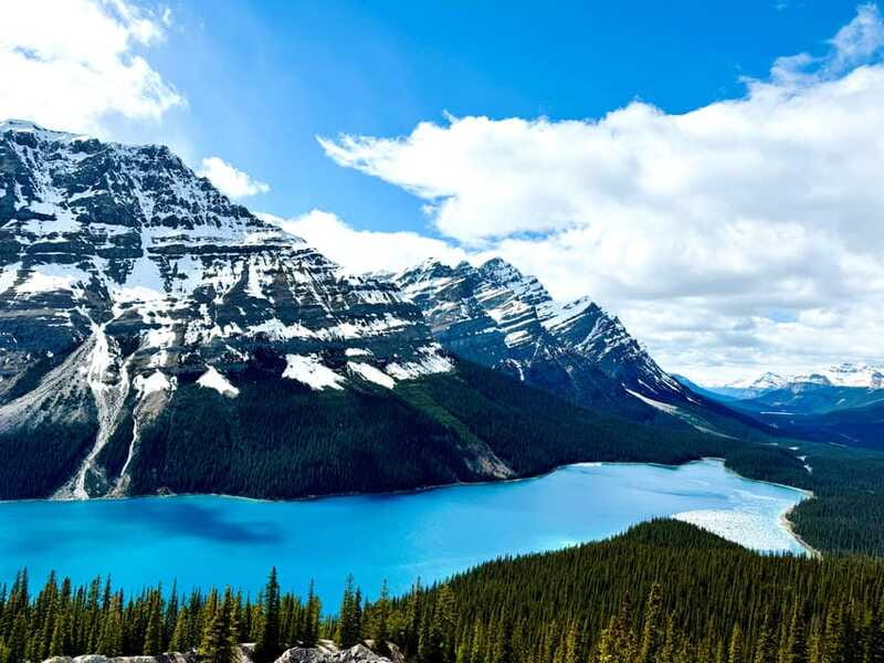 Lake Louise, Peyto Lake, Johnston Canyon & Icefields Parkway - Bow Lake: a short walk beside glacial water
