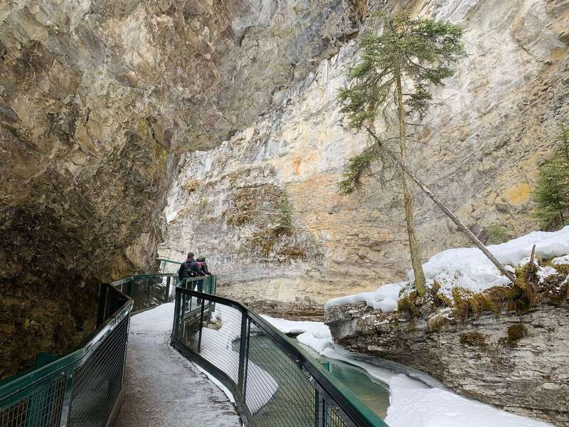 Lake Louise, Peyto Lake, Johnston Canyon & Icefields Parkway - What the guides add to the day